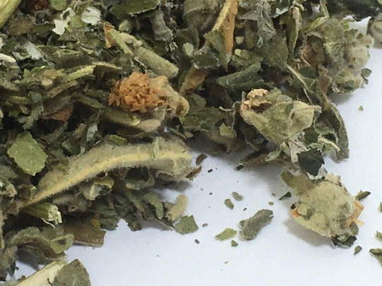 Raspberry & Marshmallow Leaf Organic Wild Harvested Herbal Herb Infusion Tea