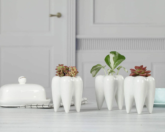 1/3 Pack Tooth Planter Pot Succulent Bonsai Pots Pencil Holder Office Organizer Gift For Dentist
