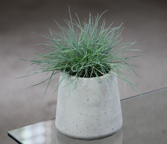 Round Concrete Planter, Cement Modern Planter