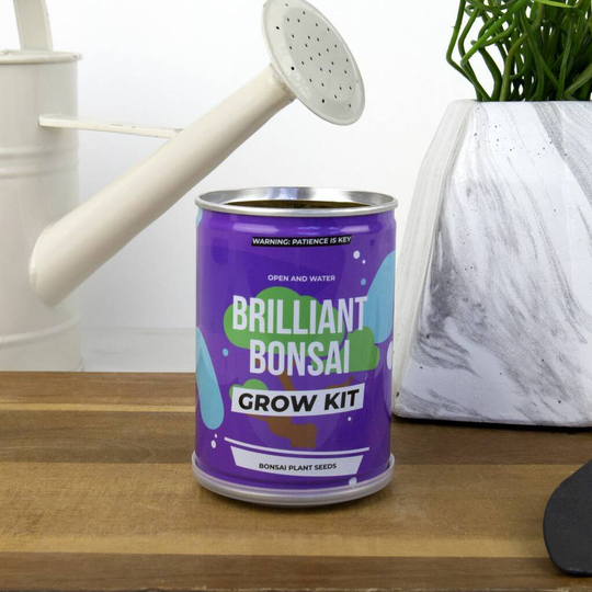 Brilliant Bonsai Grow Kit Tin