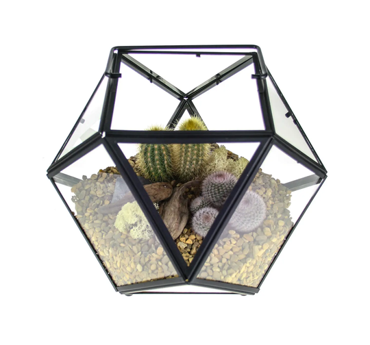 Large Cactus Terrarium Kit, Geometric Design in Metal & Glass Featuring Living Cacti | Home Accessory Gift Ideas