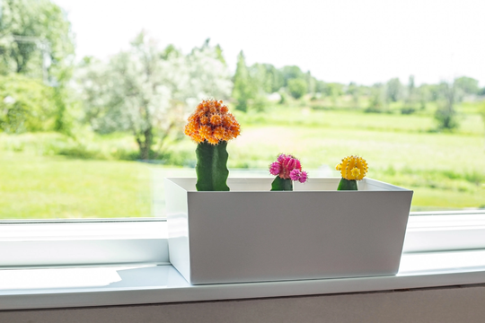 Modernist Planters, Plant Pun Pots , Minimalist Handmade Flower Pot | Set Of 2