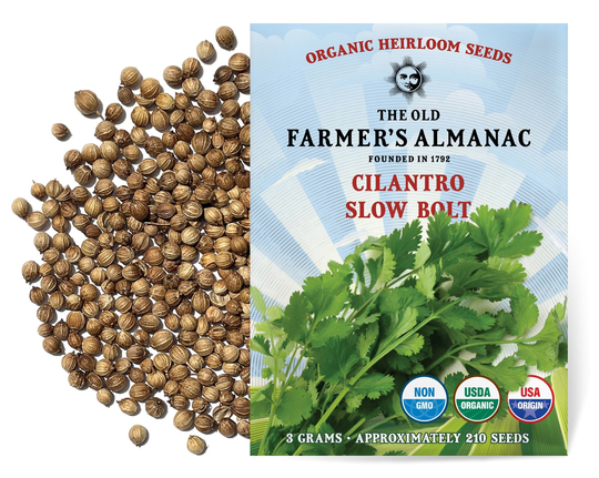 The Old Farmer's Almanac Organic Cilantro Seeds | Slow Bolt