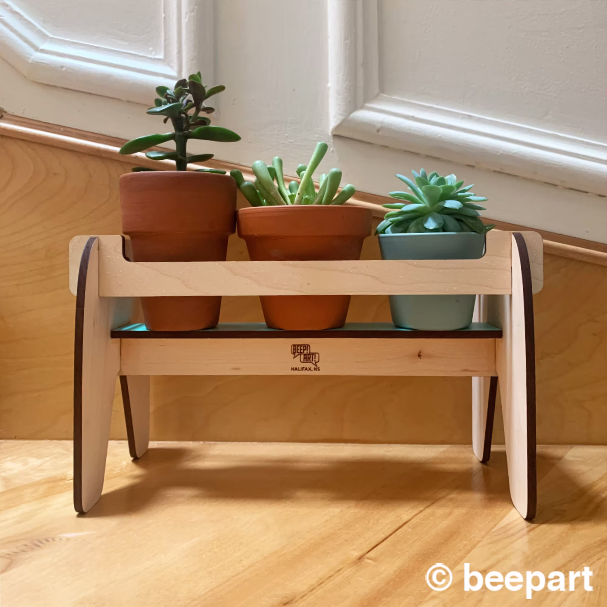 Beverly Wood Plant Shelf, Wooden Holder, Stand, Caddy, Small Plants, Succulents, Cactus, Indoor House