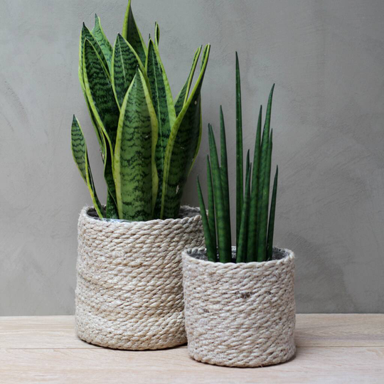 Natural Jute Planters
