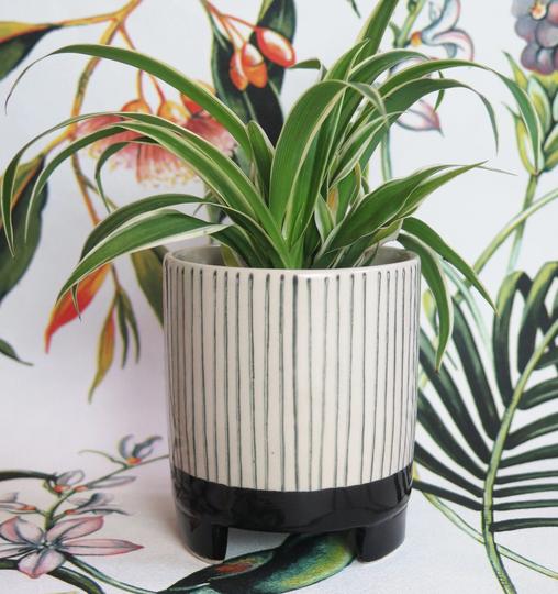 Small Black & Beige Geometric Striped Indoor Or Outdoor Exotic Planter Flower Pot - Home Decor Boho Chic Plant