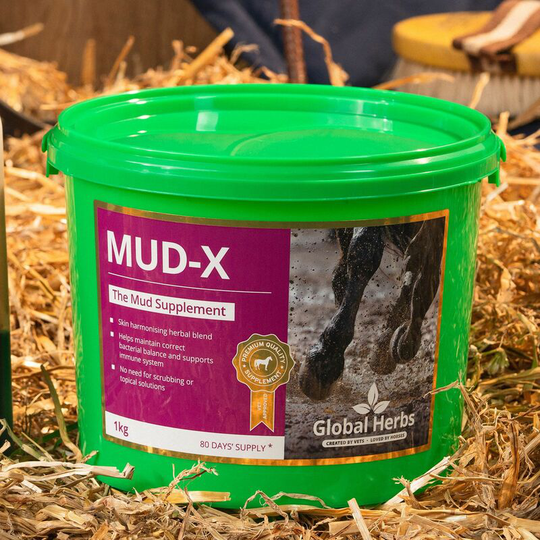 Mud-X - 1 Kg - MUD-X1KG - Global Herbs