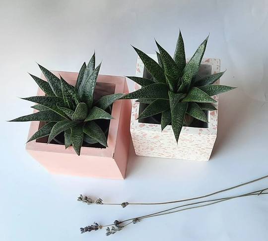 Terrazzo Planter, Concrete 4 Inch Pot, Cement Succulent Blush Pink Indoor Gray
