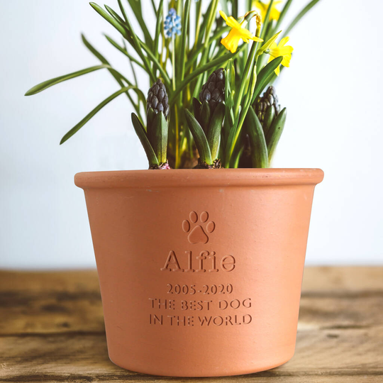 Personalised Pet Memorial Plant Pot