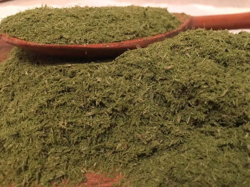 Pine Powder 30 Gram, Spruce Pine | Picea, Milled Needle Powder, Grined Organic Needles, 100% Natural