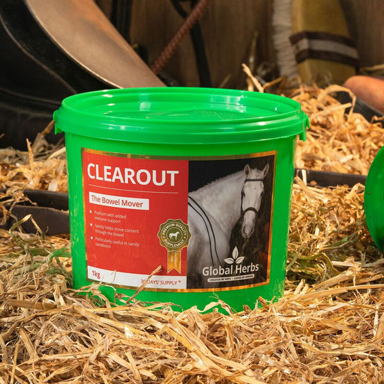Clearout - 1 Kg - CLEAROUT1KG - Global Herbs