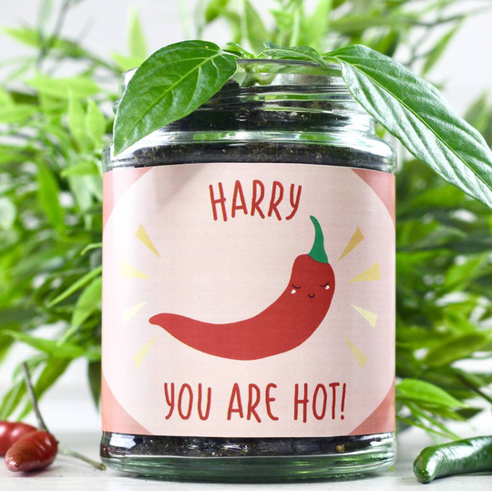 Personalised Hot Chilli Jar Grow Kit