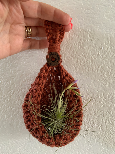 Air Plant Crochet Holder