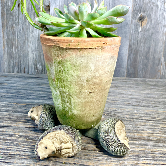 Hedgehog Pot Feet Lo110