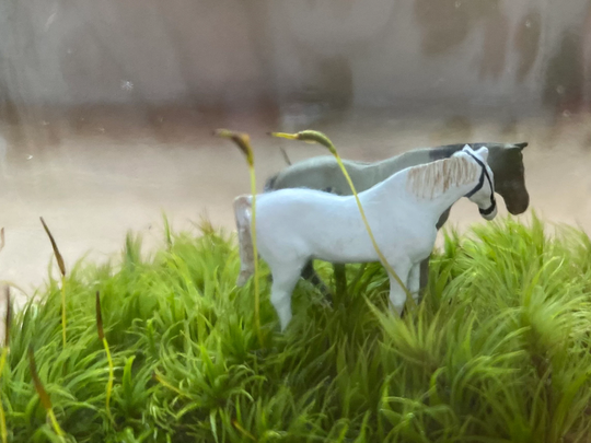 Moss Terrarium "Loverly Horses