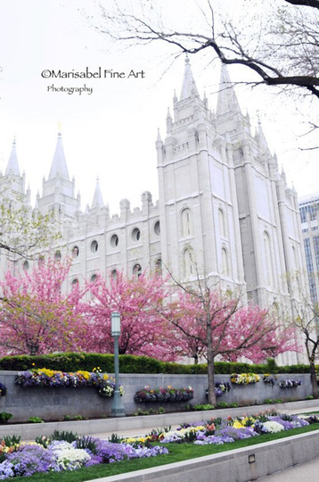 Spring Blossom in Salt Lake City Utah Temple Pastel Fine Art Photography Wallhomenurseryofficedecor Lds Art