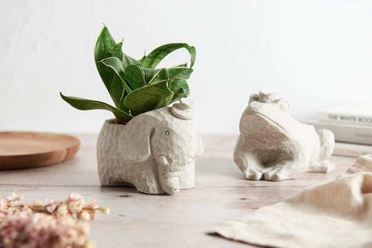 3D Elephant Plant Pot, Concrete & Frog Plant Pot, Perfect Indoor Planter For Succulents