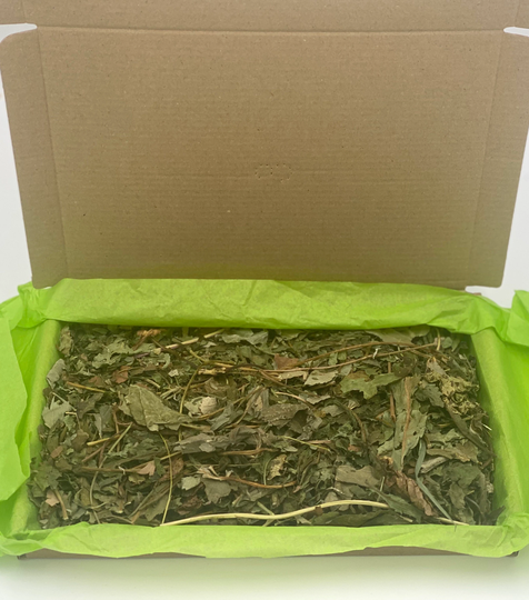 Forest Floor Leaf Forage Mix For Hamsters, Rabbits & Guinea Pigs Small Animals
