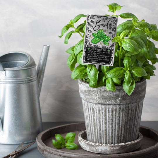 Basil Herb Marker, Home & Garden Decor