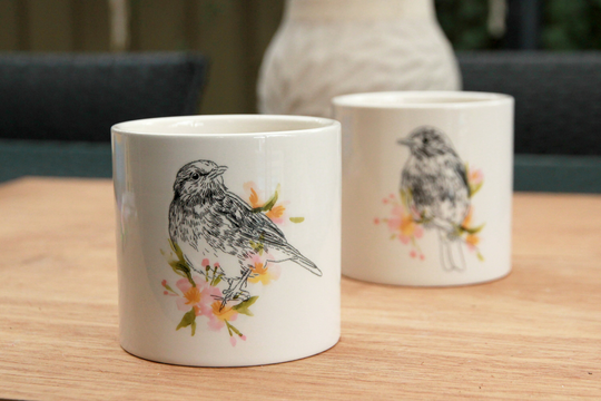 A Duo Set Of Sparrow Pots | Gift For Our Cippa Gift Plant Dad & Mom Succers Bird Lover Indoor Succulent Pot Unique