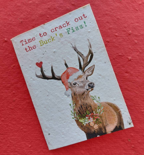 Plantable Wildflower Seed Christmas Card - Individual Xmas Card-Luxury Eco Friendly Zero Waste Cards - Plantable Cards