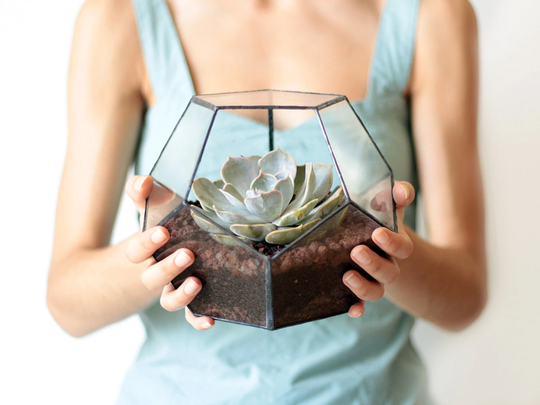 stained Glass Geometric Terrarium Container, Succulent Terrarium, Plant Lovers Gift, Modern Planter, Coffee Table Decor