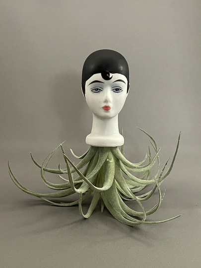 Sirara Harlequin Dollhead Planter