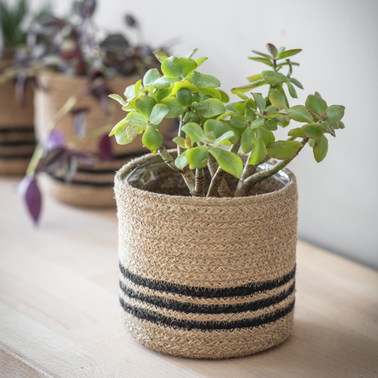 Jute Striped Pot