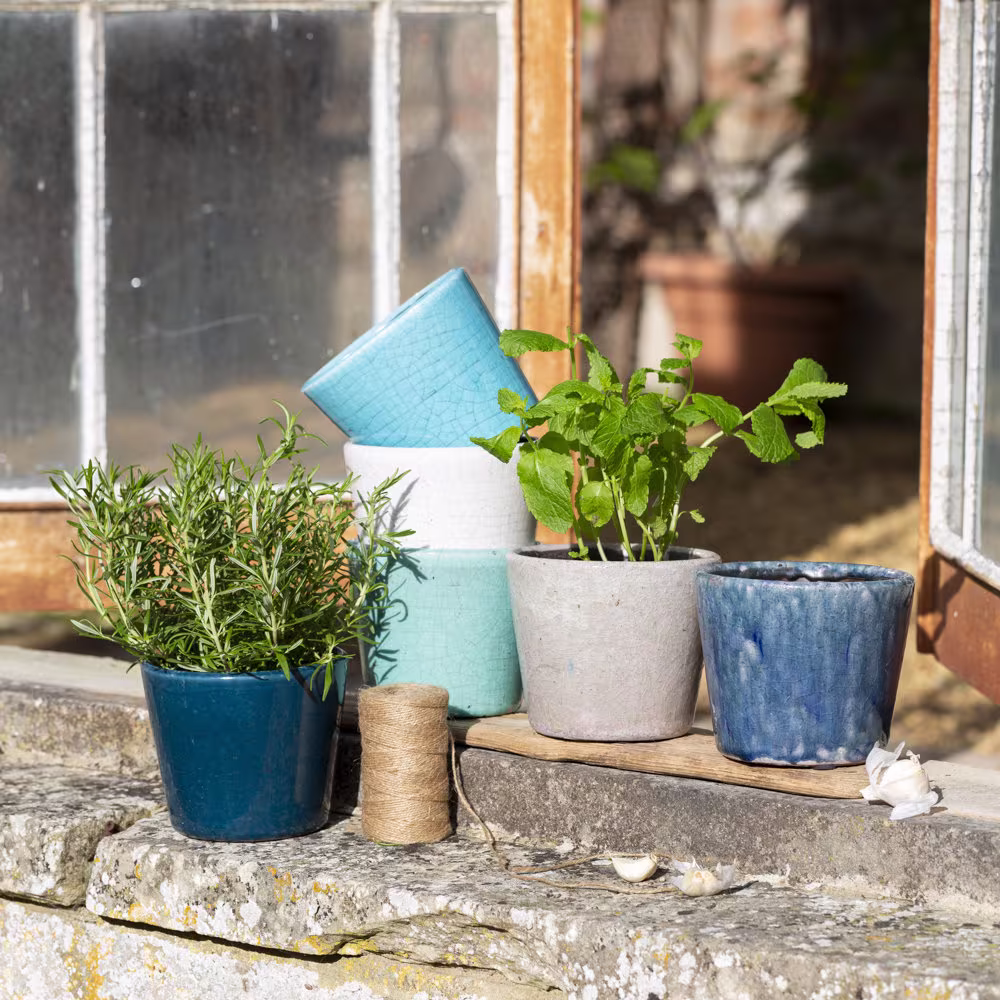 Old Style Dutch Pots Asst 6 Colours | 14cm Plant Pot Blue Green