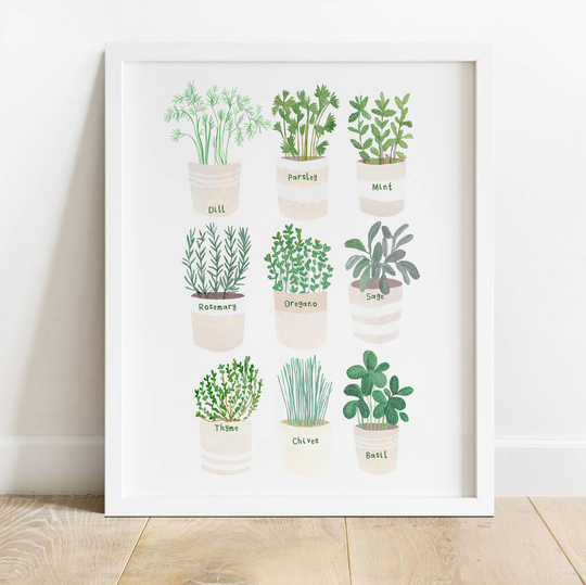 Herb Plant Pot Print