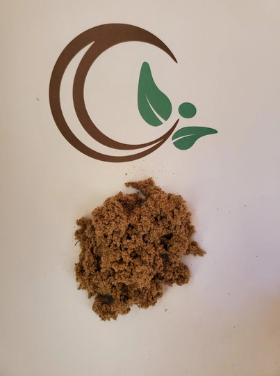 Moxa Dried Wool For Self Care From The Herb Plant Artemisia Vulgaris