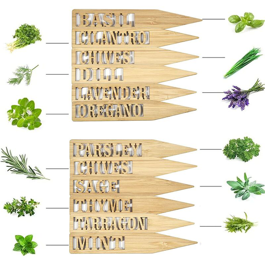 Modou - 12 Pack Bamboo Plant Labels, Plant Labels, Garden Markers, Weather Resistant Natural Bamboo for Seeds, Pots, Herbs, Flowers, Vegetables