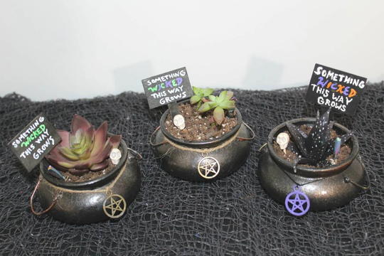 Cauldron Planter