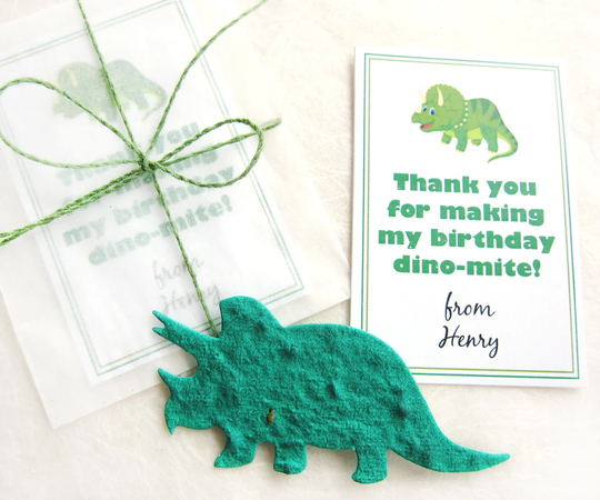 12 Flower Seed Dinosaur Valentines - Birthday Party Favors You Are Dynomite