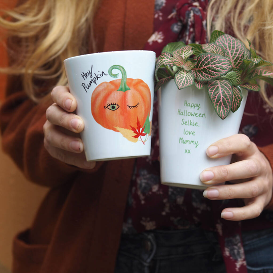 Halloween Plant Pot With Pumpkin Seeds