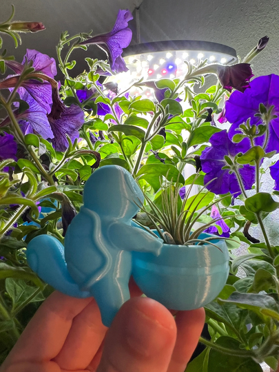 Squirtle Succulent Planter | Office Decor Home Modern 3D Printed With Drainage Indoor