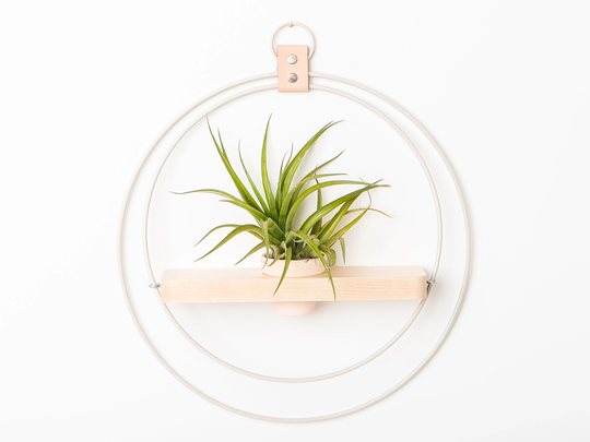 Plant Shelf, Wall Mounted Hanging Planter, Air Holder