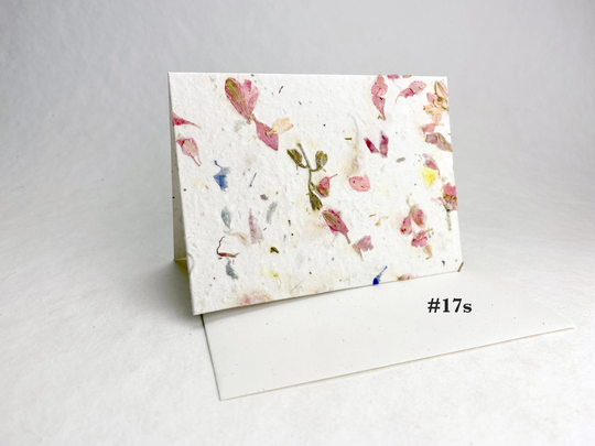 Wildflower Seed Paper Cards | A2 Set Of 8 With Recycled Envelopes & Planting Guides Pick Your