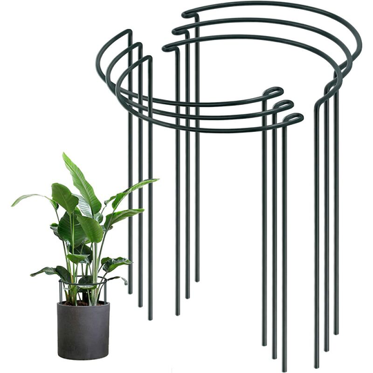 6 Pack Garden Plant Support Posts, Metal Plant Support Plant Posts, Semicircular Plant Support Rings, 25cm Diameter x 40cm Height, for Flowers,