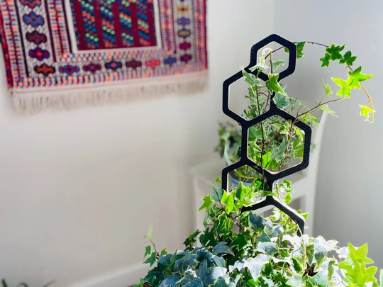 Hexagonal Trellis To Support Indoor House Plants