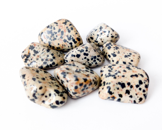 6 Dalmation Jasper Tumblestones 20 - 30mm Witchcraft Kit , Spell Kit, Starter Beginners, Solitary, Hedge, Wicca, Casting, Baby Witch