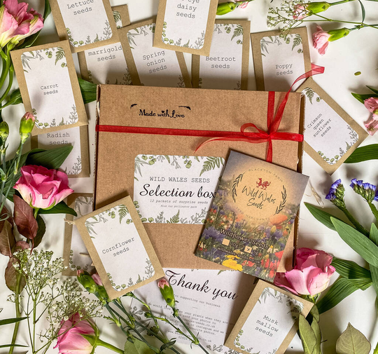 Surprise Wildflower Seed Christmas Selection Box