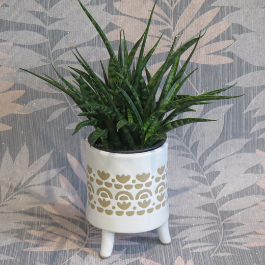 Beige & White Mediterranean Style Indoor Or Outdoor Planter Flower Pot - Home Decor Exotic Plant