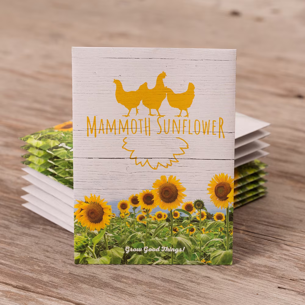 Chicken in White - Mammoth Sunflower 25 Seed Packets- Perfect Eco-Friendly Gift For Diy Gardeners Or New Homeowners Non Gmo Seeds