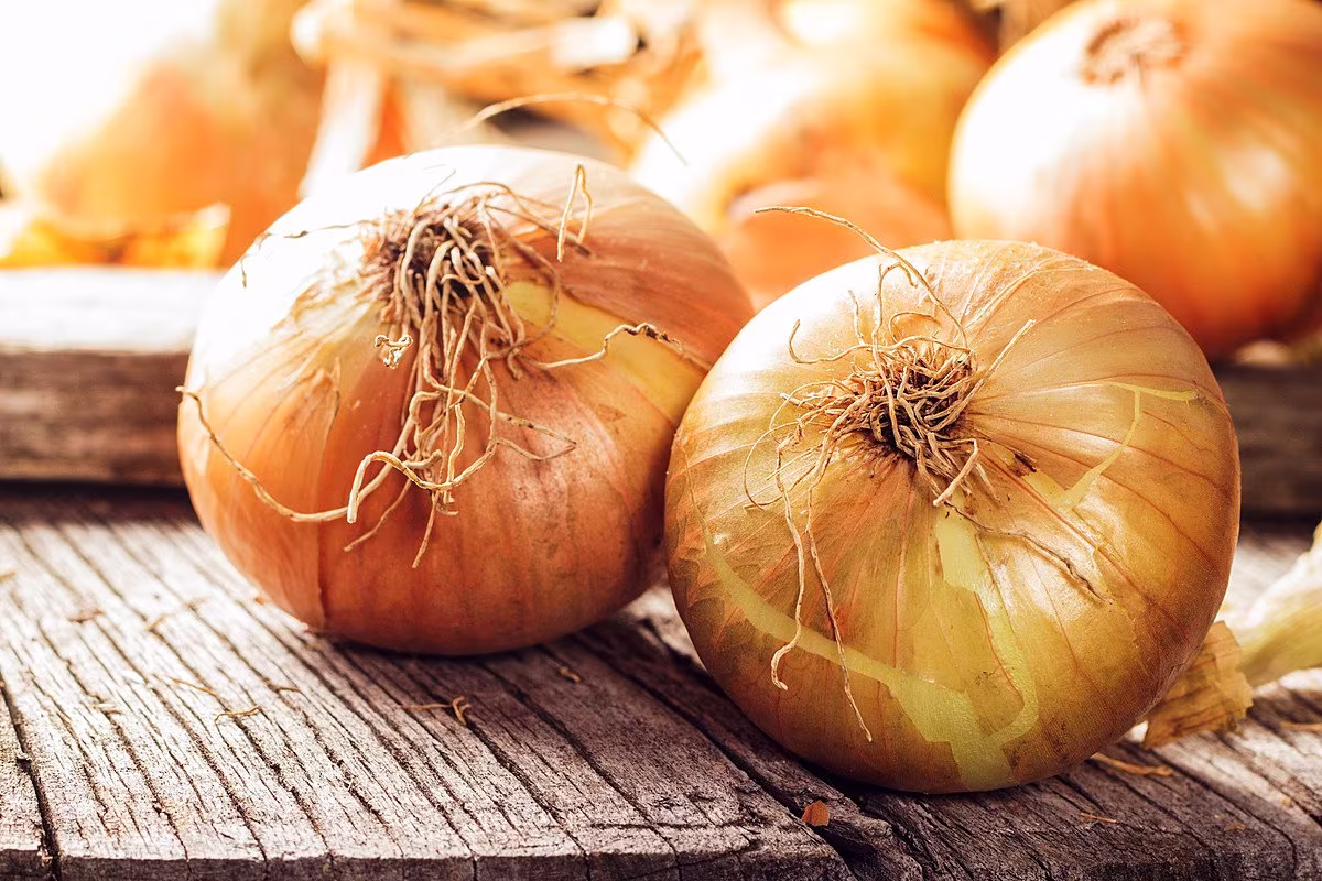 Walla Onion Seeds 20Ct