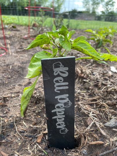 Custom Garden Stakes, Set Of | 4 Slate Markers, Gardening Gift, Plant Markers