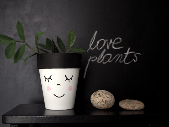 Terracotta Plant Pot Hand Painted With The Funny Face, Ceramic Drainage Hole, Multiple Sizes Available