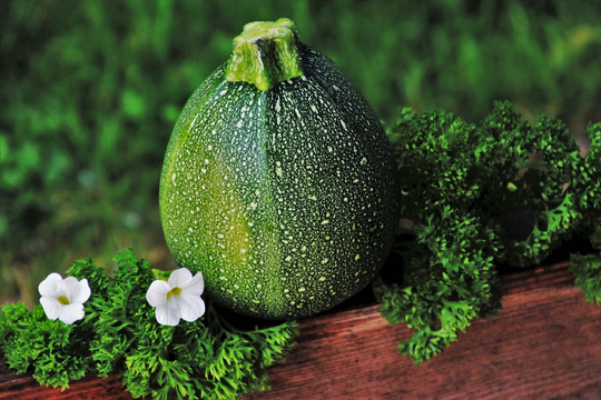 Batch Of 25 Seeds Round Fruit Nice Squash-Zucchini