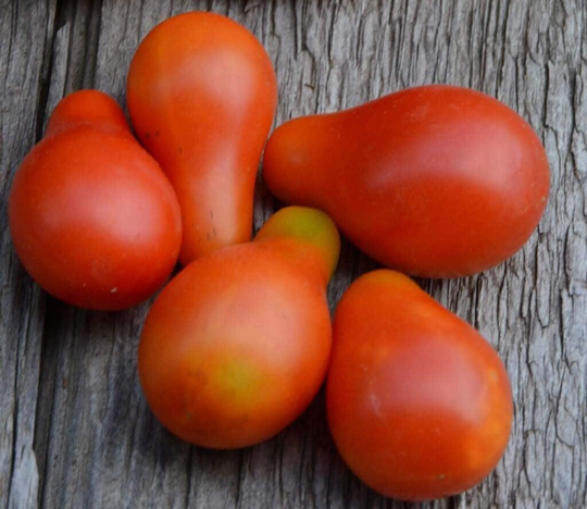25 Red Pear Cherry Tomato Seeds