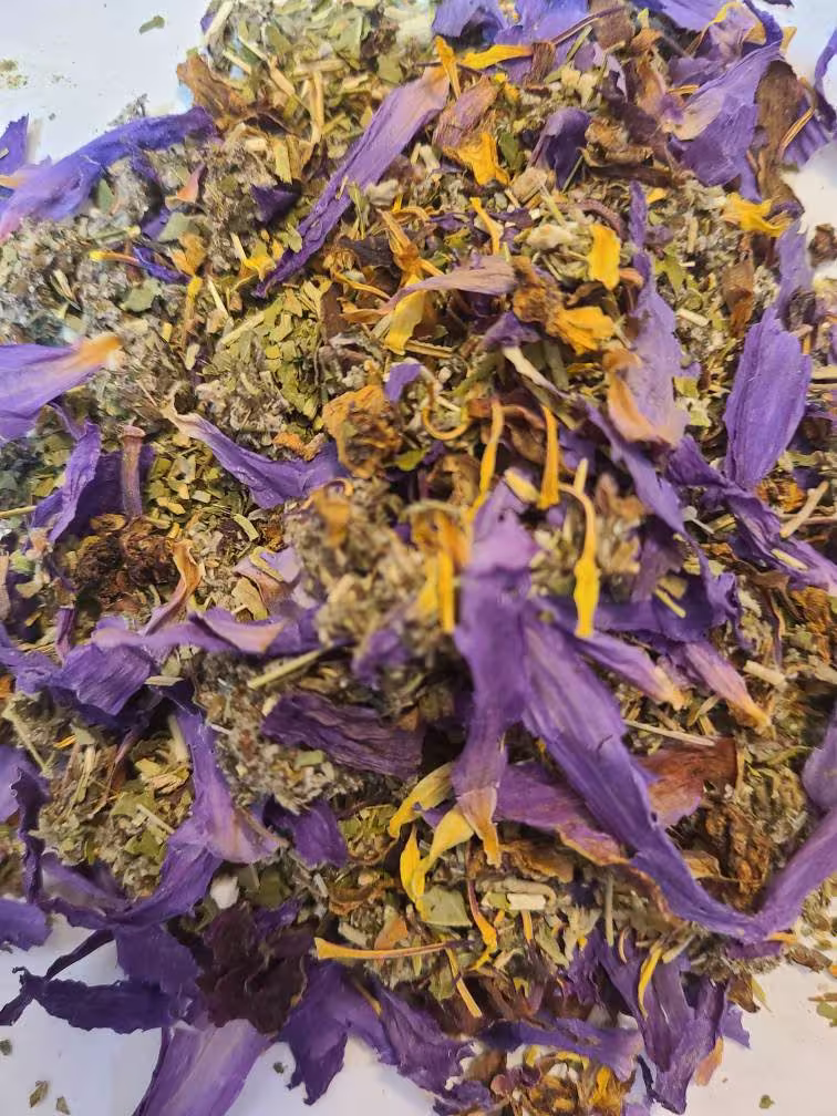 10 G Astral Projection Dream Tea, Travel Enhancer Mugwort | Artemisia Vulgaris, Calea Zacatechichi, Lavender, Blue Lotus, Damiana Leaf
